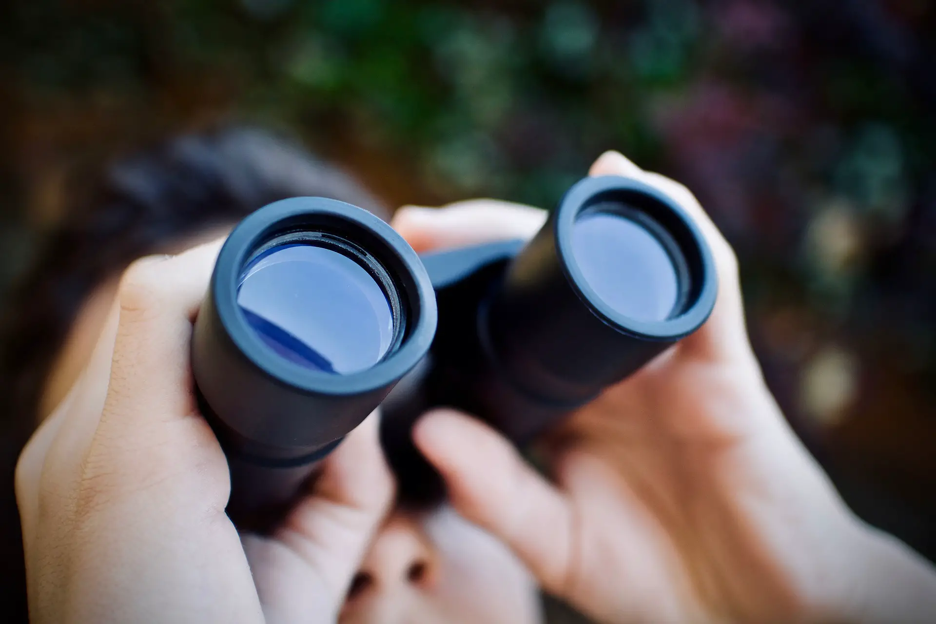 Choosing 8x vs 10x Binoculars: Considering Magnification & Lens Diameter