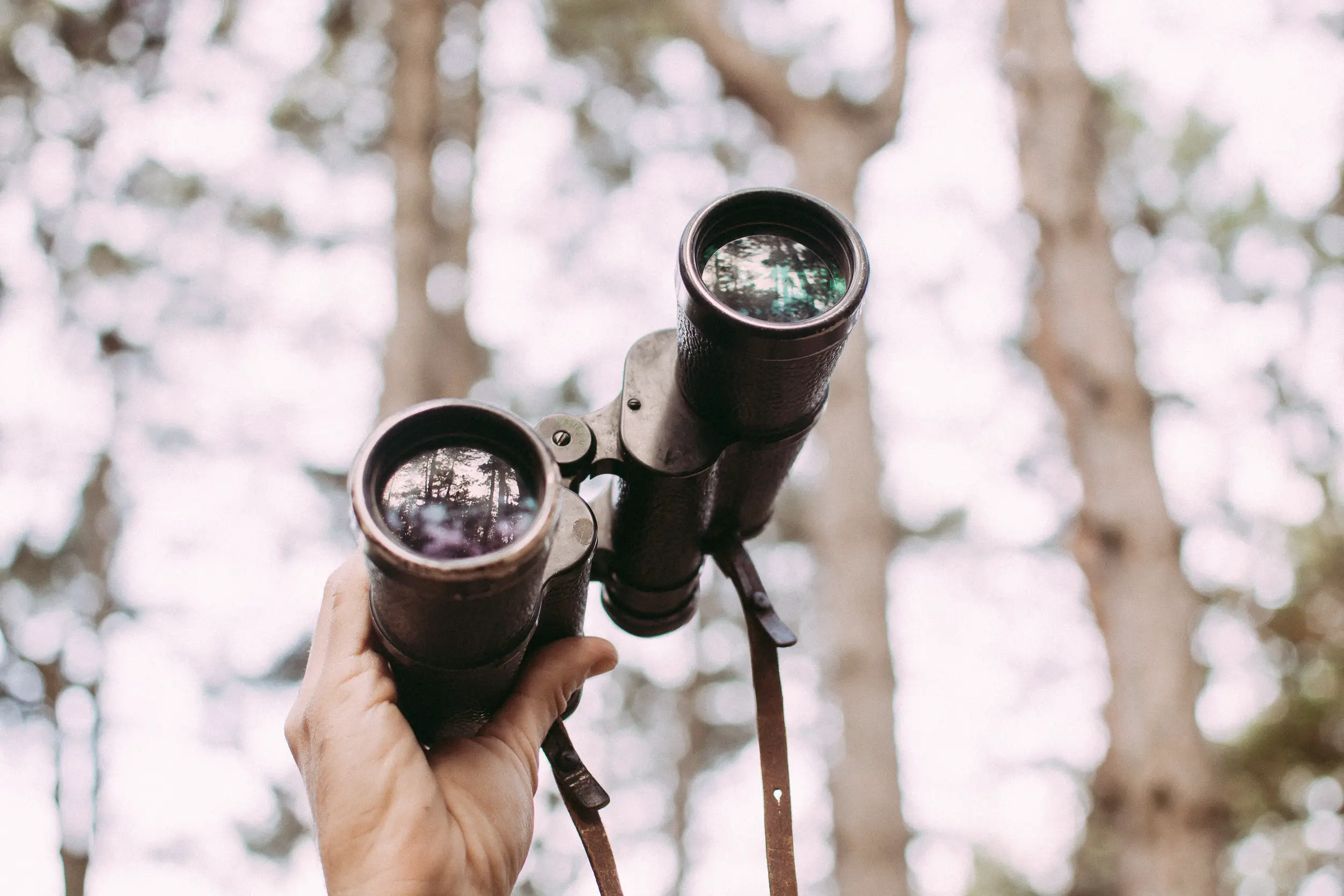 10X42 vs 12X50 Binoculars: Detailed Comparison & Uses