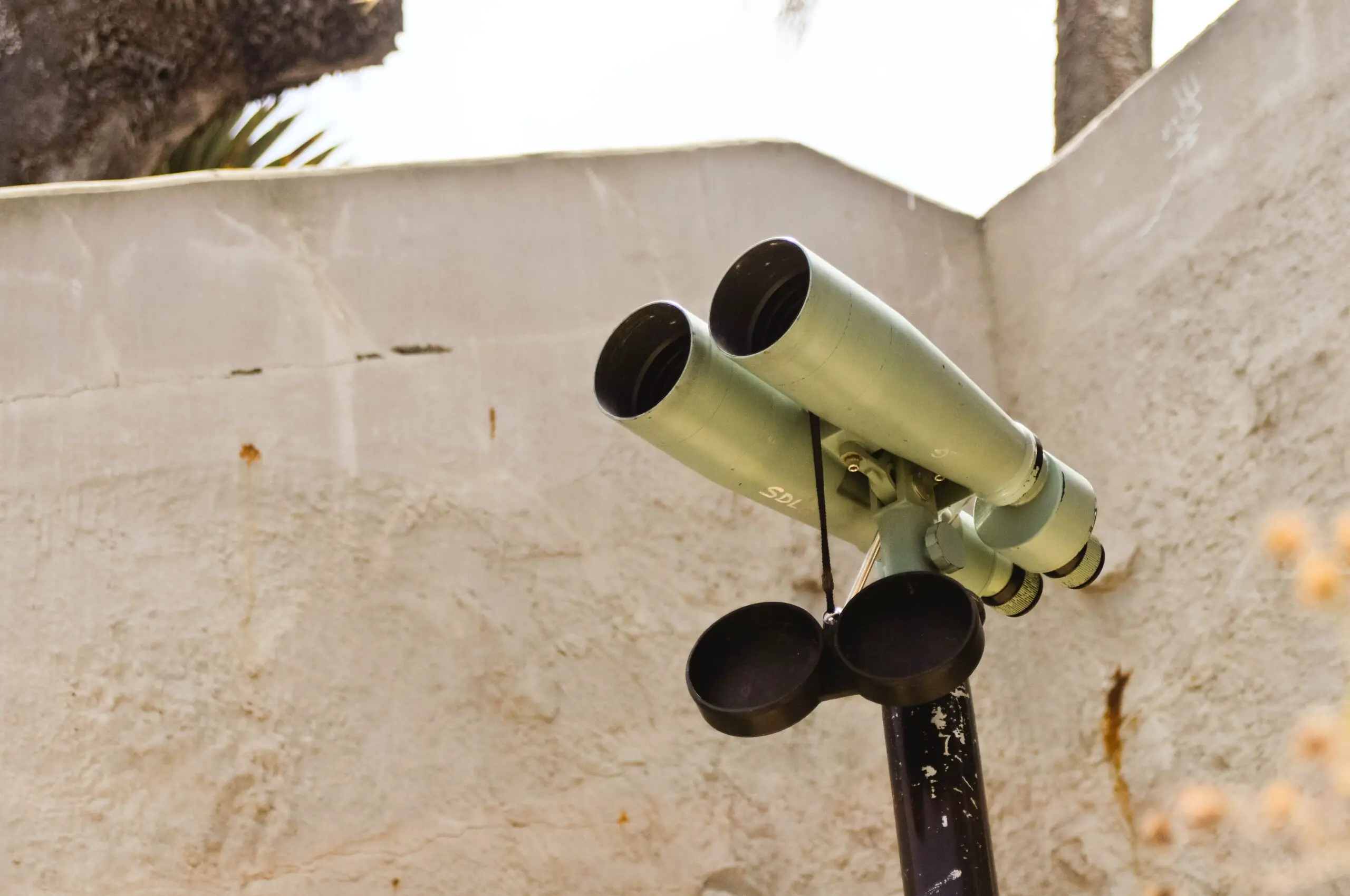 10X50 vs 12X50 Binoculars — A Detailed Comparison | Purposes + Pros & Cons