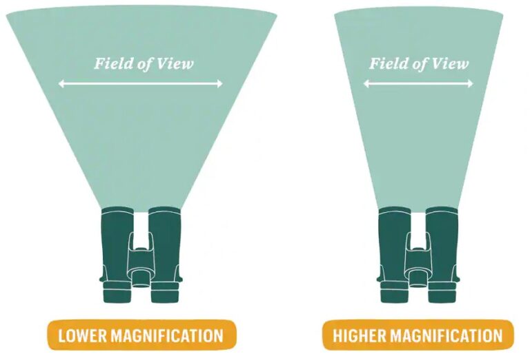 10X50 vs 12X50 Binoculars — A Detailed Comparison Purposes + Pros