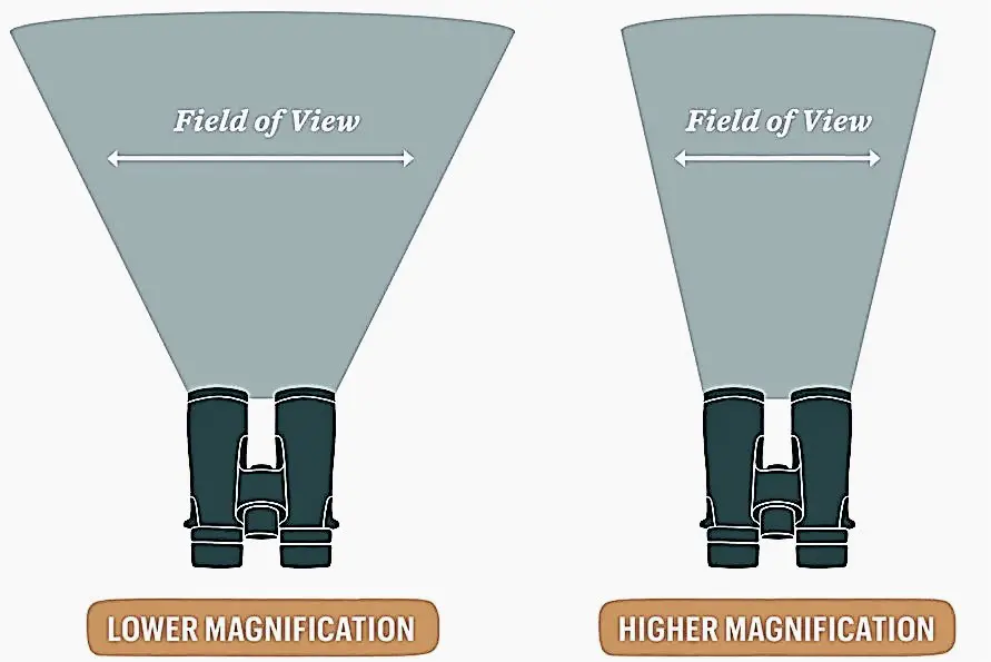 8X32 vs. 10X42 Binoculars — Comparison & Purposes BinocularsDesk