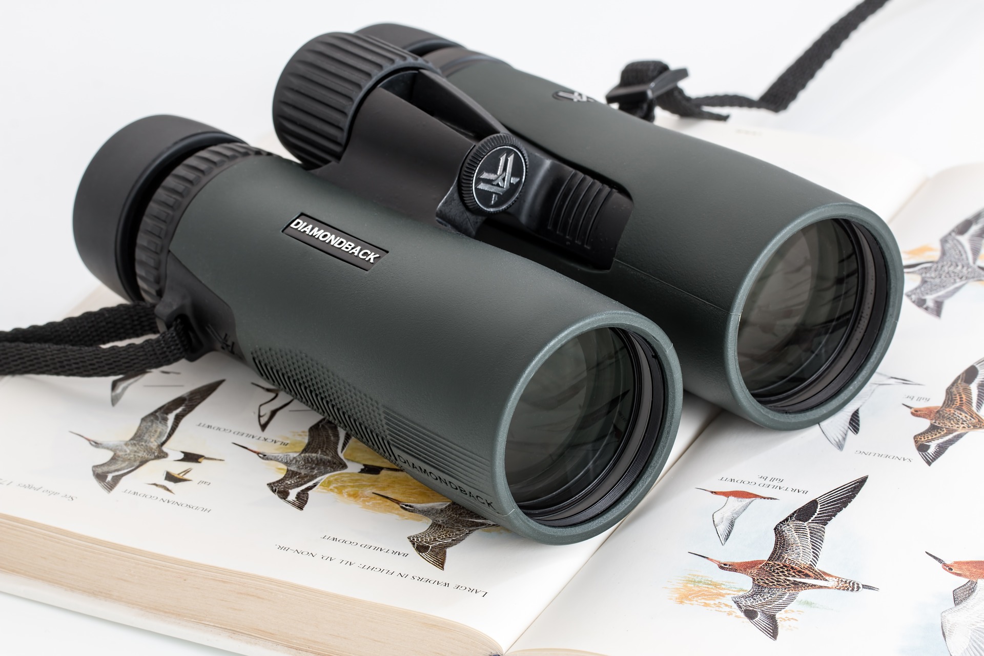 Roof Prism Binoculars — All you Need to Know