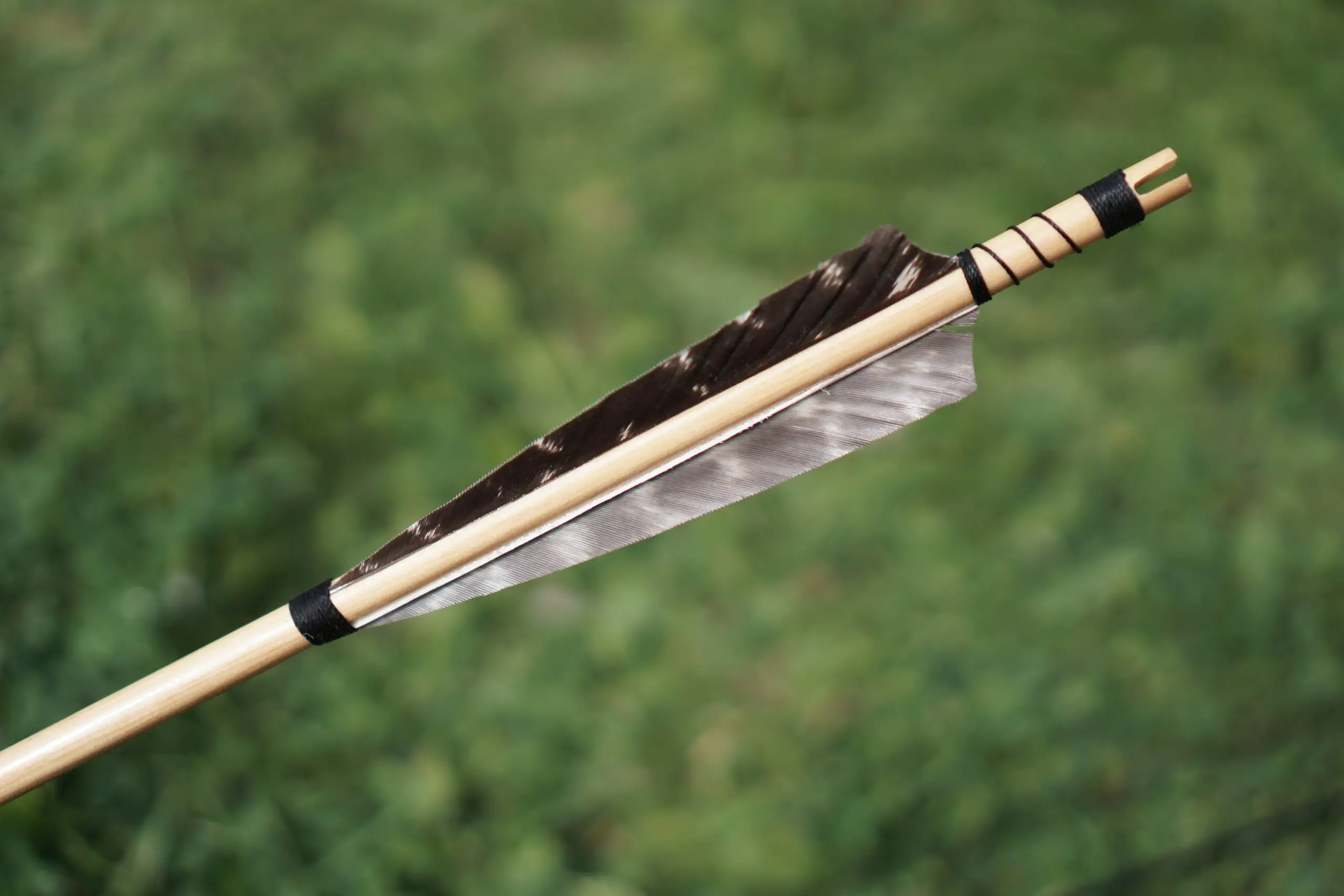 7 Best Archery Binoculars for Hunting & Target Shooting
