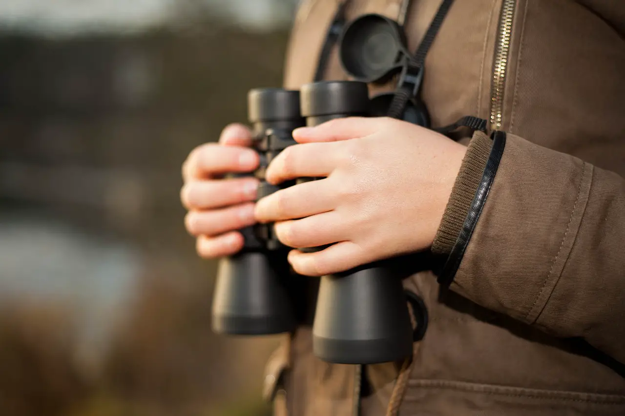 Binocular Magnification Ranges and Their Ideal Uses (Complete Guide)