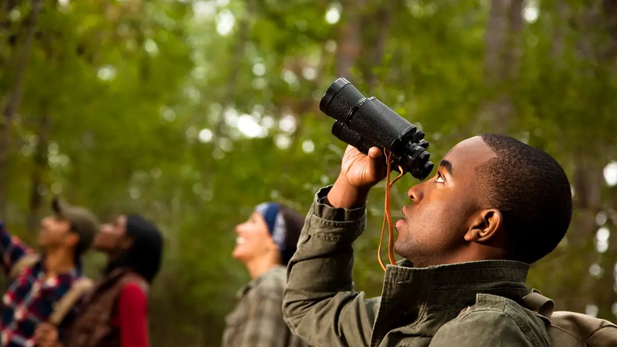 A Beginner’s Guide to Using Binoculars for Nature Observation