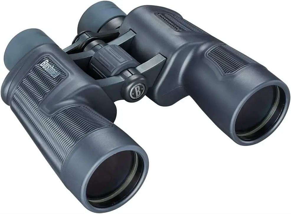 7 Best Binoculars for Optimal Whale Watching Experience BinocularsDesk