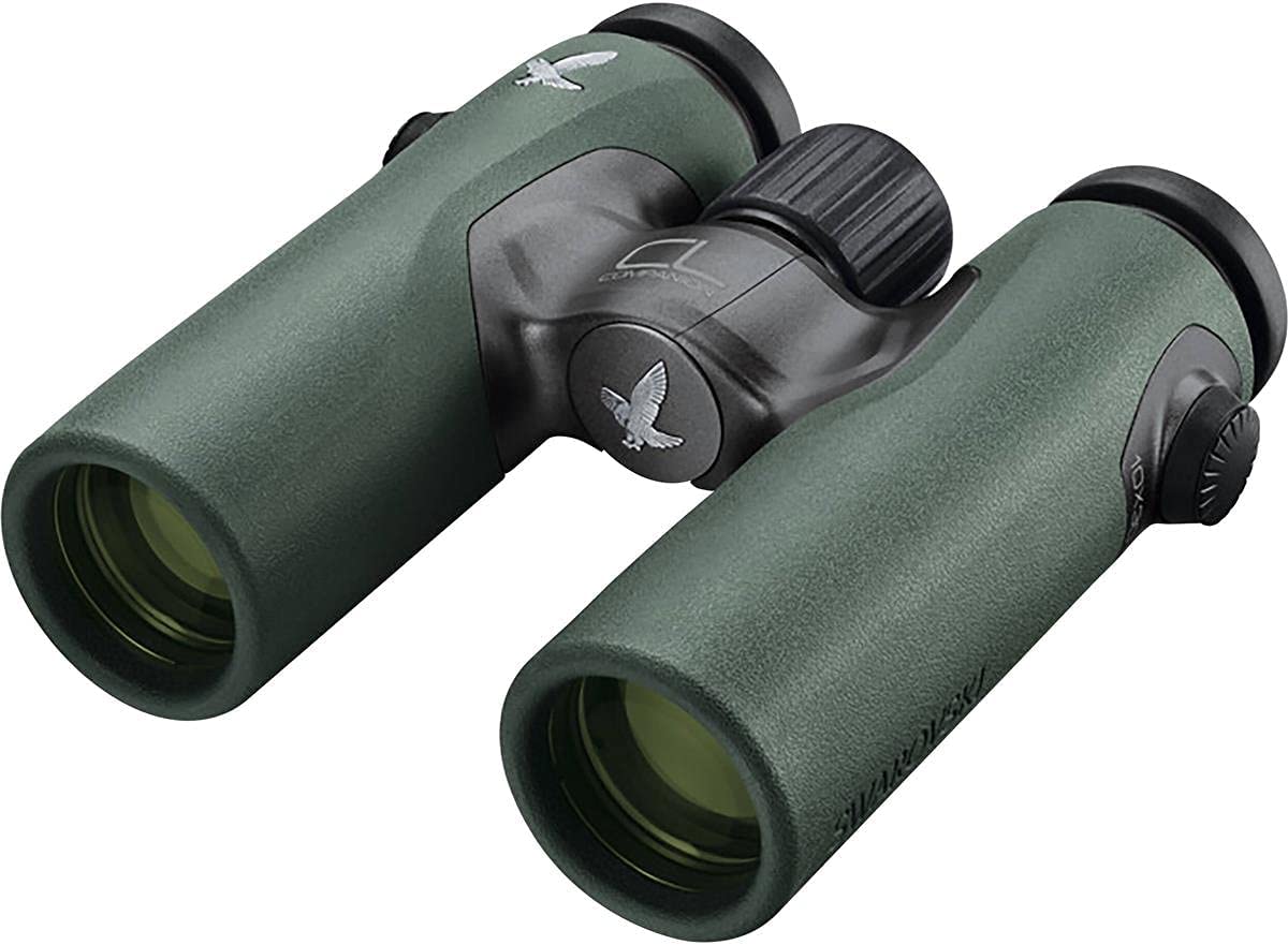 7 Best Binoculars for Optimal Whale Watching Experience BinocularsDesk