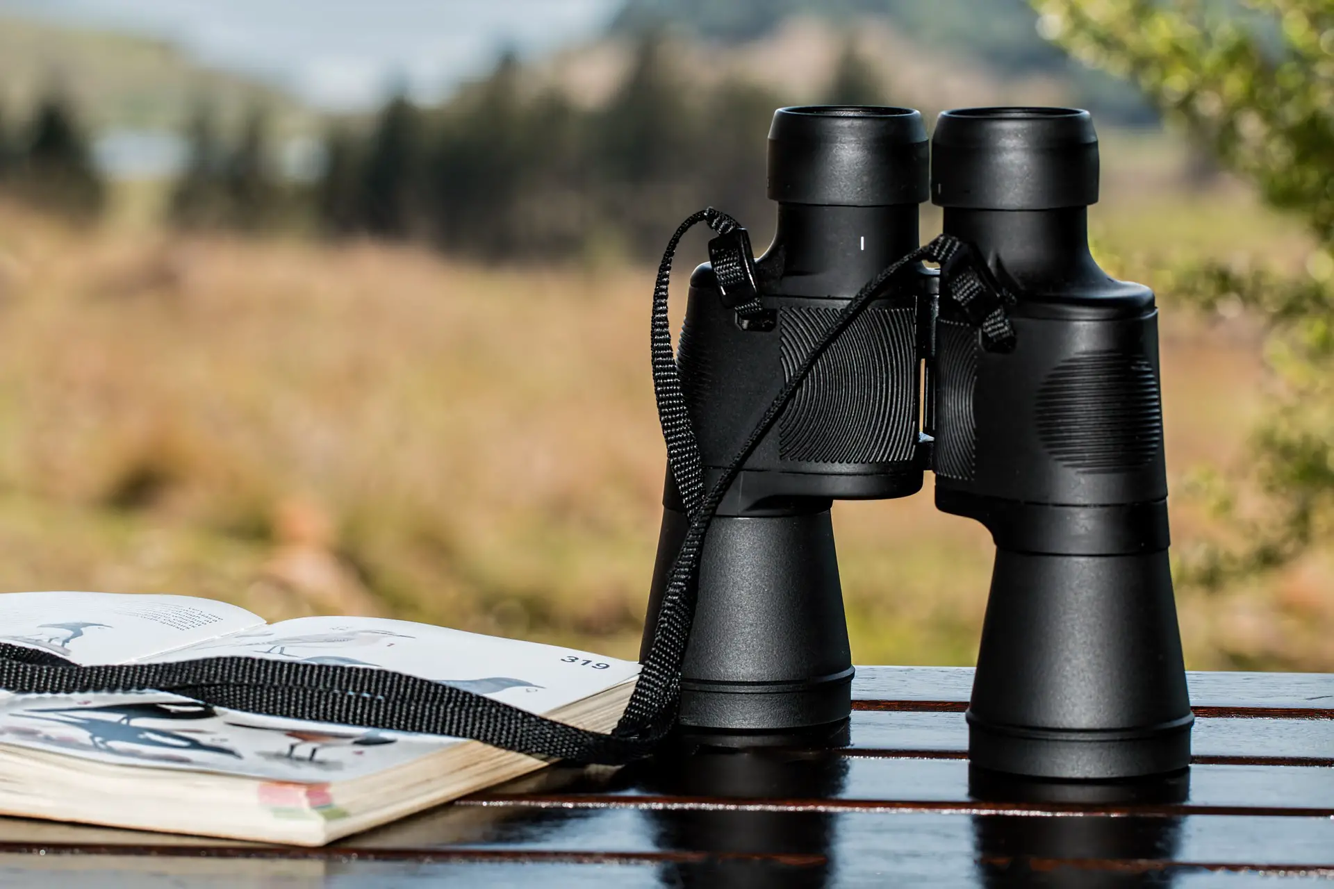 Travel Binoculars: 8 Best Picks (For Birding, Safari, Cruising & Hiking)