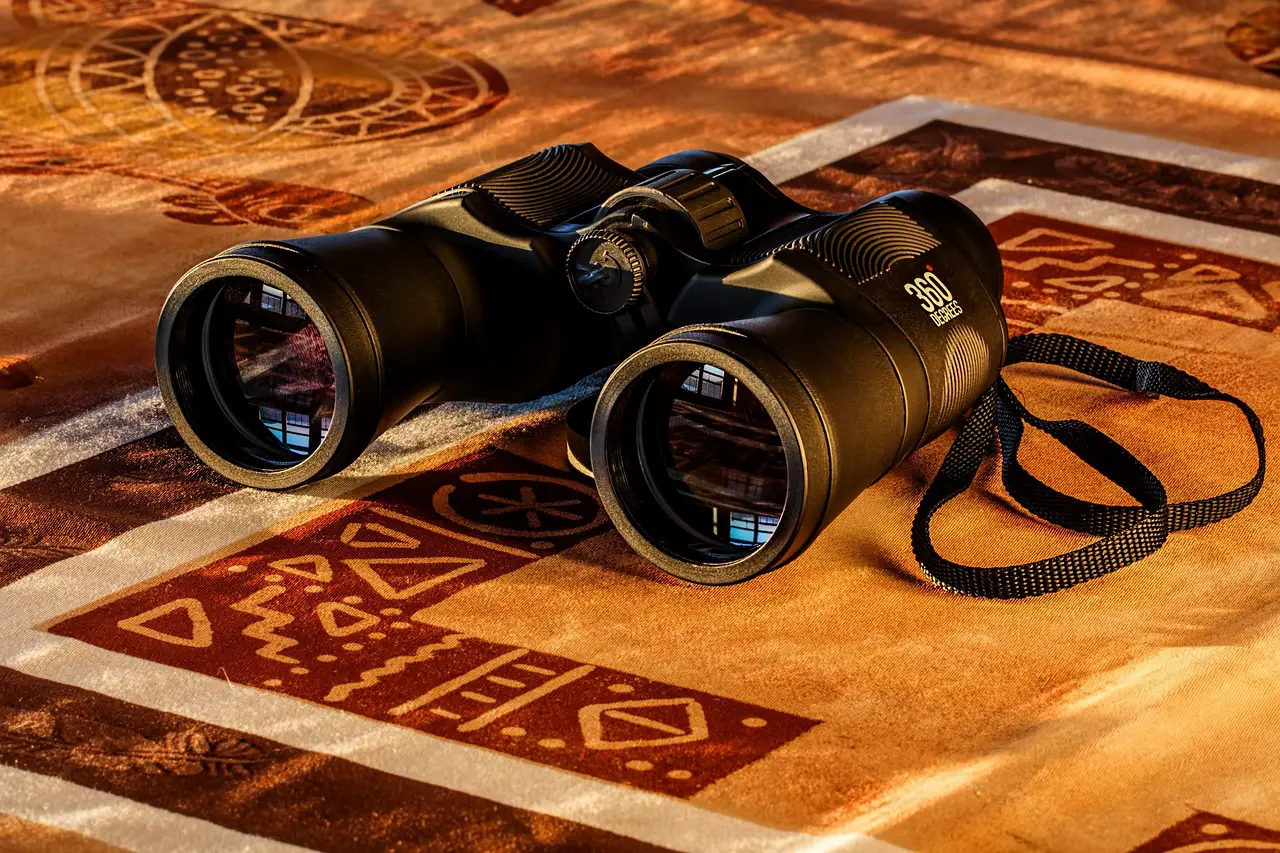 Binoculars Under $500 – 8 Top Picks (For All Purposes)