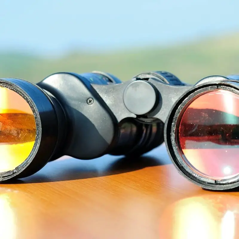 6 Best Binoculars for Kids (Toddlers to Teens) — Unleash Their Inner