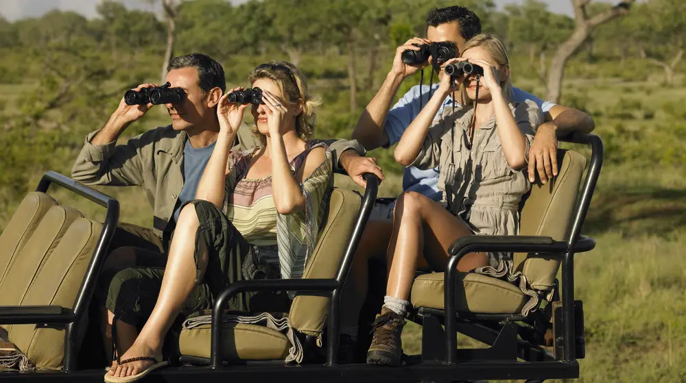 12 Things to Consider for Safari & Wild Photography Binoculars