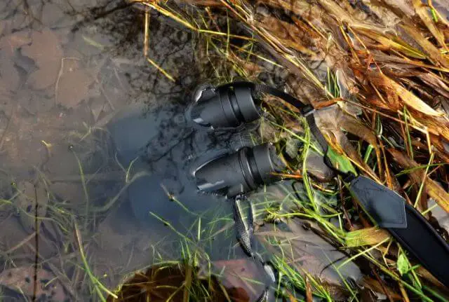 Unexpected Water Damage to Binoculars