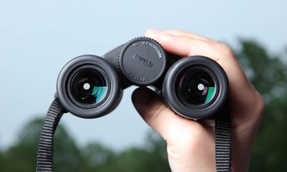 Understanding Exit Pupil in Binoculars: How It Affects Low Light Performance?