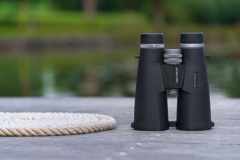 Color Fidelity & Contrast in Hunting Binoculars (Detailed Guide)